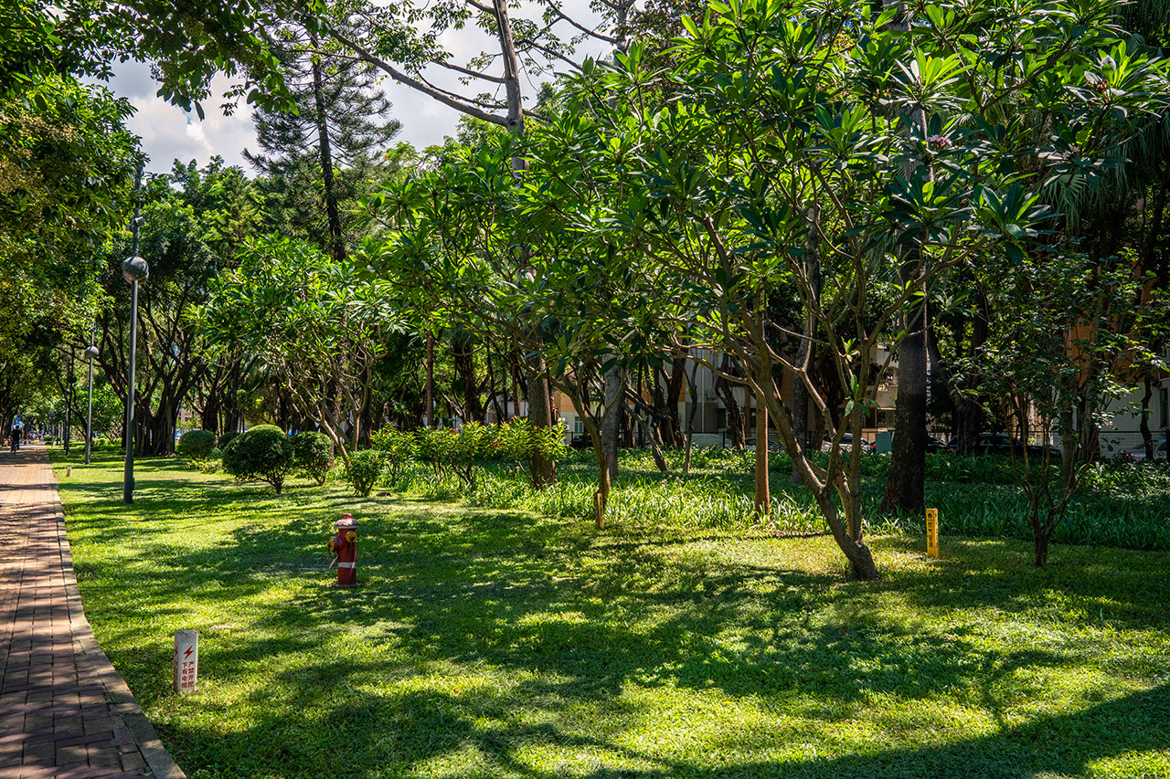 福田区市政绿化（含立体绿化绿道）管养及 超高大树木修剪（C 标段）服务项目