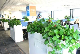 室内其他相关保洁