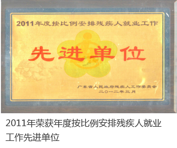 公司荣誉